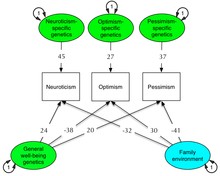 Optimistic Personality (modified from [2])