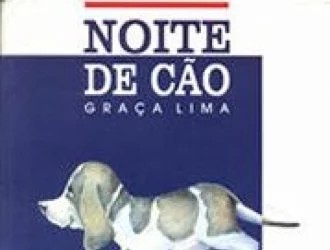 Noite de cão