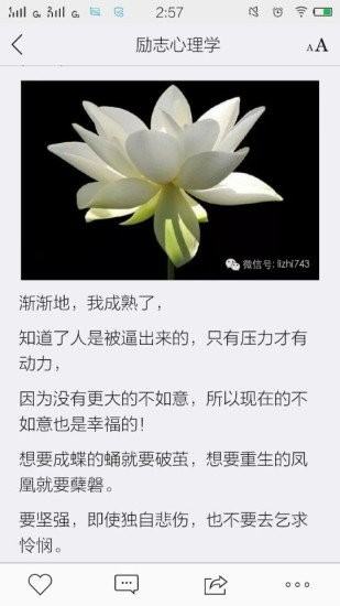 励志心理学截图5