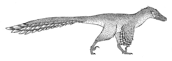 La morfología del Velociraptor era muy distinta a la de Jurassic Park