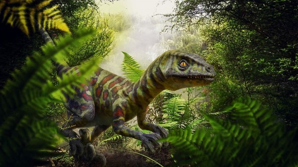 El velociraptor usaba su gran garrar para desgarrar a sus presas
