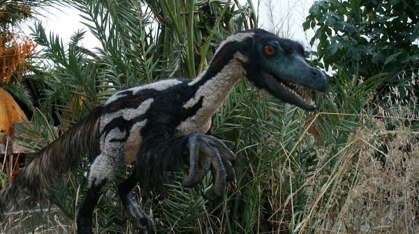 El velociraptor era el dinosaurio más inteligente de todos