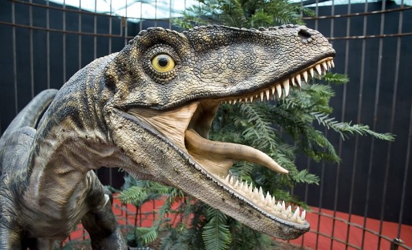 Curiosidades del Velociraptor