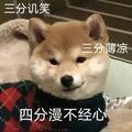 橘子爱观察头像