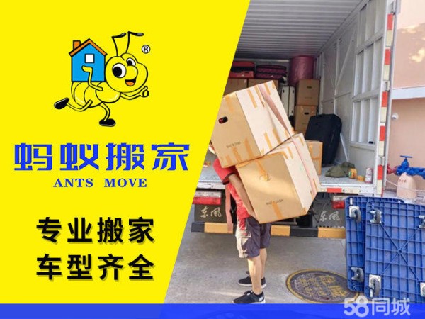 店主头像