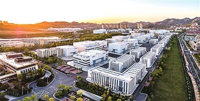 今日2023青岛数字文化应用发展大会拉开帷幕 青岛影视周热点 “剧透”抢先看