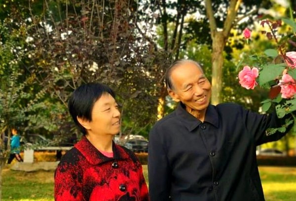 老年生活的智慧法则：寻找平凡中的快乐