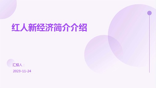 红人新经济简介介绍
