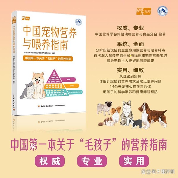 中国宠物营养不足如何科学喂养指南