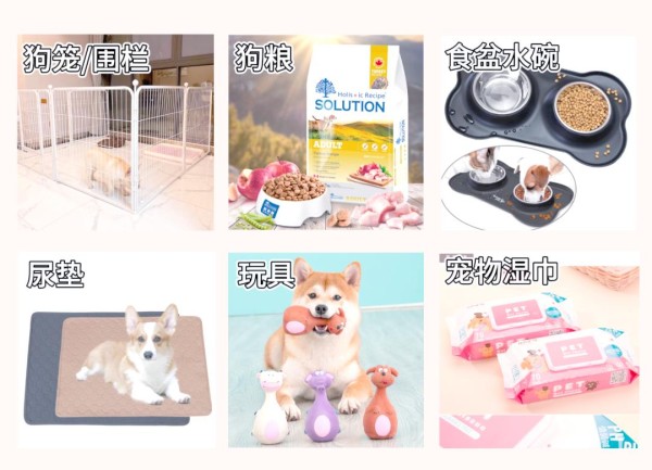 新手养狗指南：从迎接新宠到日常喂养的全面攻略