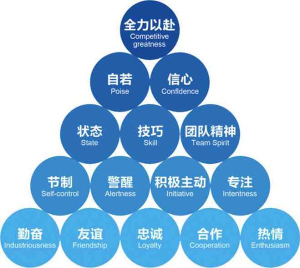 人生导师全方位指南：探索人生各个阶的智慧与指导