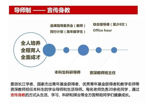 人生导师全方位指南：探索人生各个阶的智慧与指导