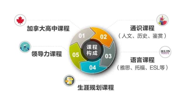 人生导师全方位指南：探索人生各个阶的智慧与指导
