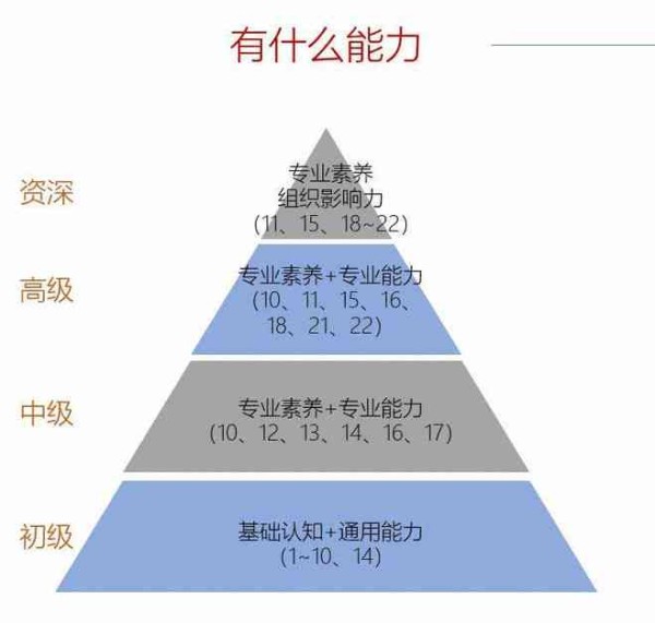 人生导师全方位指南：探索人生各个阶的智慧与指导