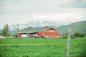 Kohler Creamery: Home of Heber Valley Milk & Artisan Cheese