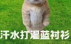 “苏超”第九轮，警方重要提醒！