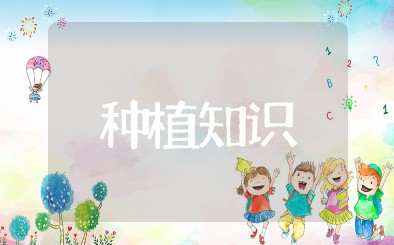 种植知识必备大全 关于种植植物的小知识
