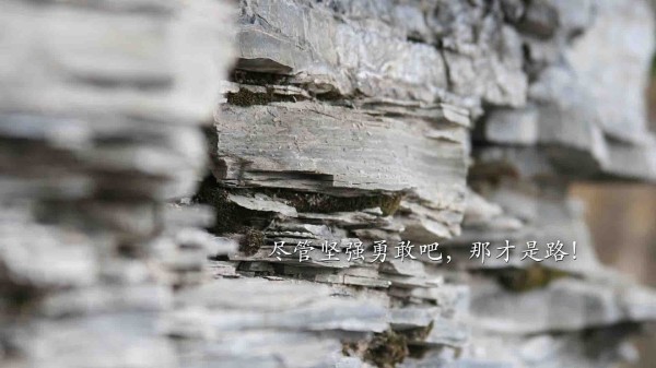 直播时窗外噪音大怎么解决？