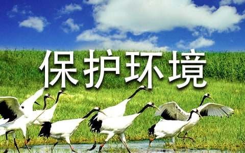 保护环境的句子大全