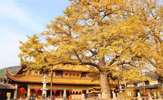 美食与<a target=