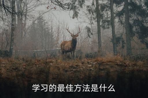 学习的最佳方法是什么