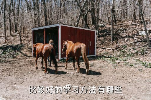 比较好的学习方法有哪些