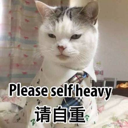 请自重（please self heavy）_heavy_self_Please_自重表情