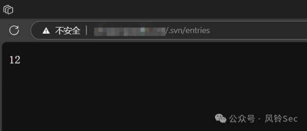 工具集：svnExploit【SVN源代码泄露全版本Dump源码工具】