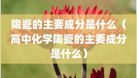 陶瓷的主要成分是什么（高中化学陶瓷的主要成分是什么）