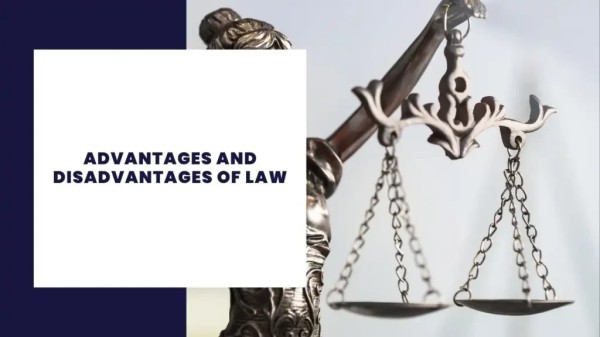 Advantages and Disadvantages of Law