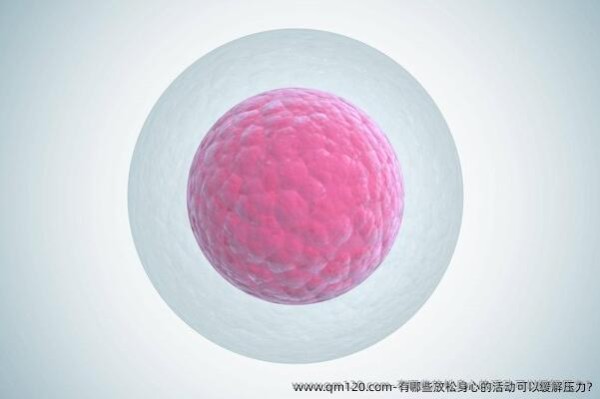 有哪些放松身心的活动可以缓解压力?