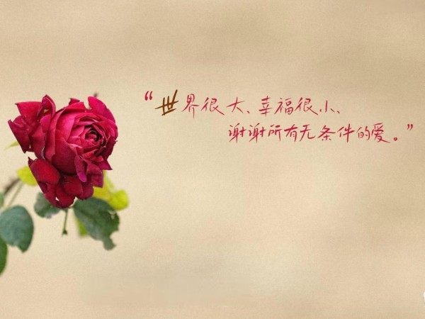 20句治愈一切不开心的句子，乐观积极，句句暖心！