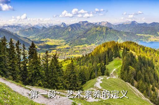 第一段：艺术素养的定义