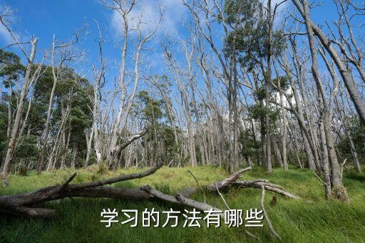 学习的方法有哪些