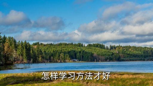 怎样学习方法才好