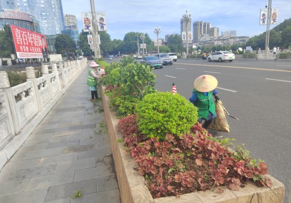 西秀区城管局