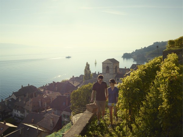 Balade dans les vignes de Lavaux avec vur sur le lac