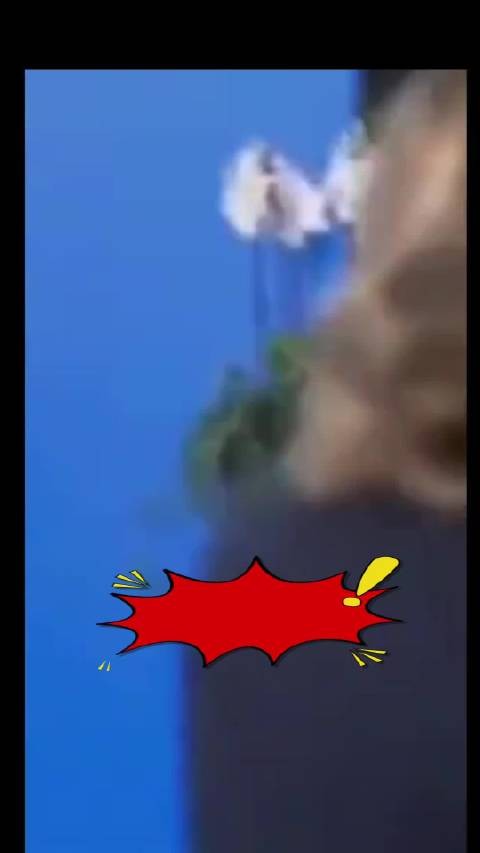 其实梅洛尼执政以来，在许多重要场合常翻白眼，感觉很可爱