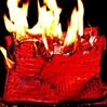 Gucci就商品被盗发独家声明