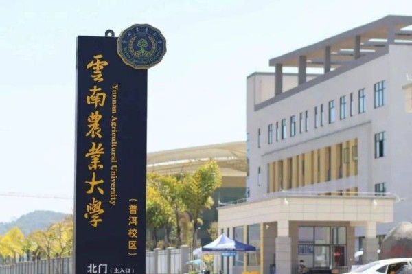 【大国粮策】这个“网红专业”有多香？探秘全国首个咖啡科学与工程专业