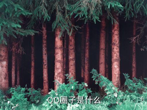  QQ圈子是什么