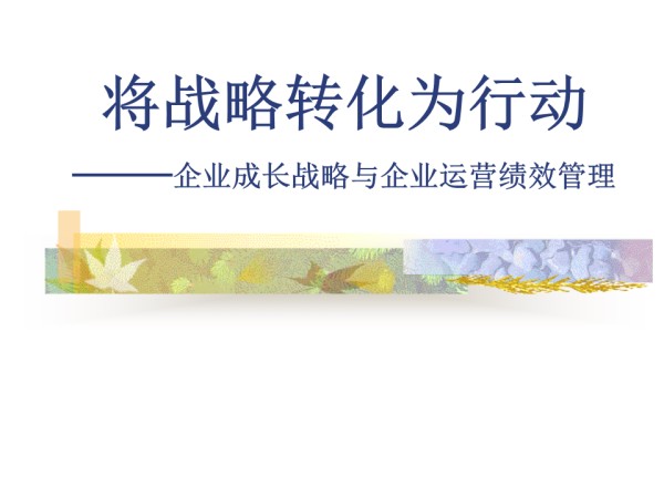-企业成长战略与企业运营绩效管理