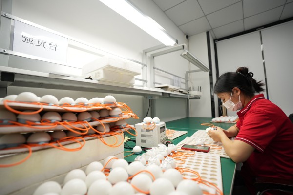 （广东深圳某科技公司AI玩具生产线 记者吴绵强摄）