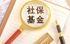 国家队“加仓”化工股，社保最新布局出炉