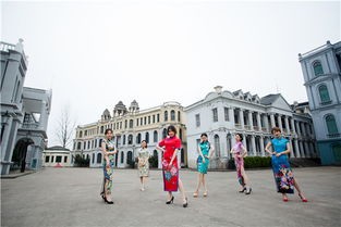 三、影视城的特色活动与体验