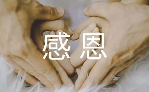 感恩的正能量句子500句