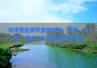 菏泽至张家界旅游攻略：交通、住宿、景点一览及实用旅行指南