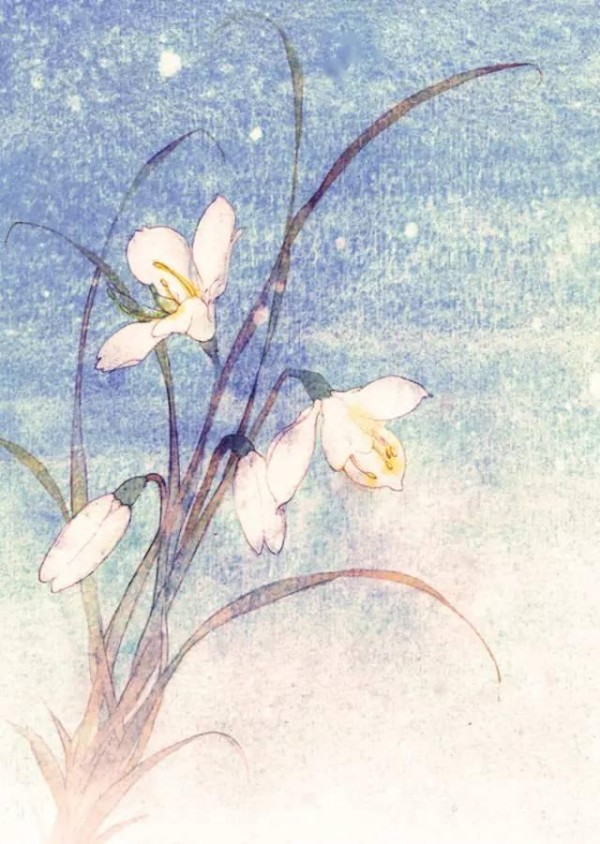心理｜心理调节小建议