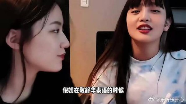 叶舒华发言引热议，网友解读其深意