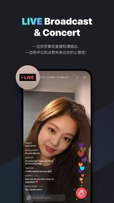 v 电脑版下载